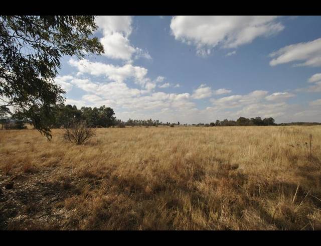 FARM FOR SALE IN EYE OF AFRICA